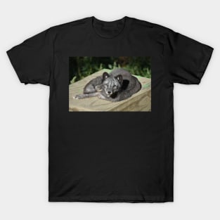 Arctic Fox T-Shirt